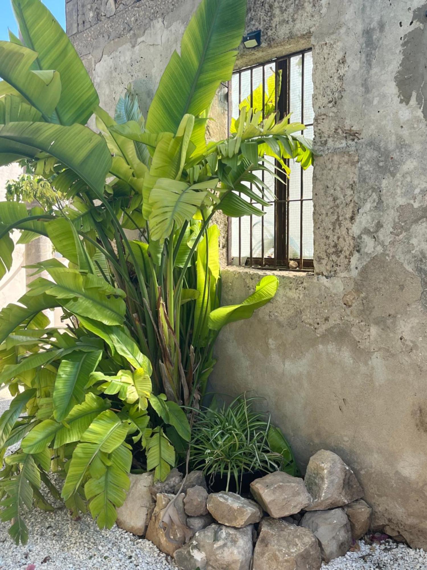 U Pantanu Apartment Syracuse Bagian luar foto